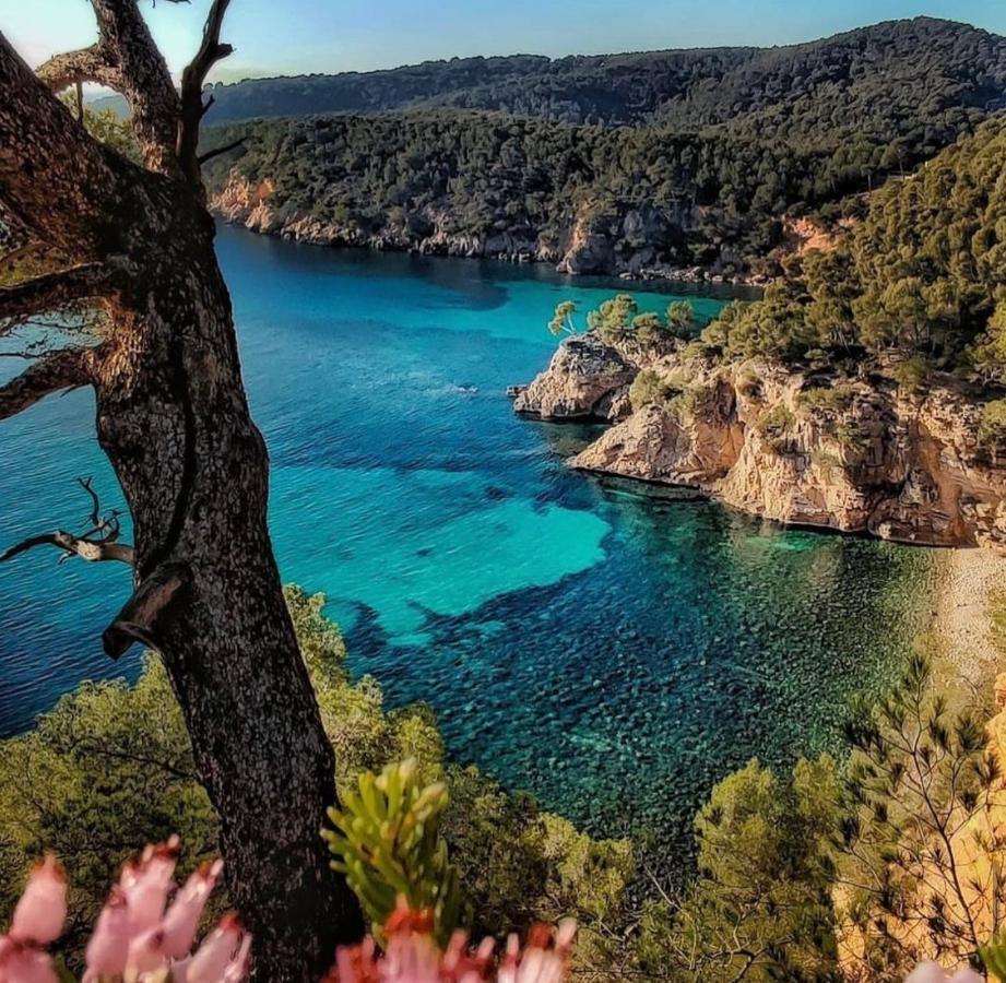 Logement Vue Mer Splendide - Situe A 50 Metres Du Bord De Mer Et 2 Minutes Des Plages - Bandolina Luaran gambar