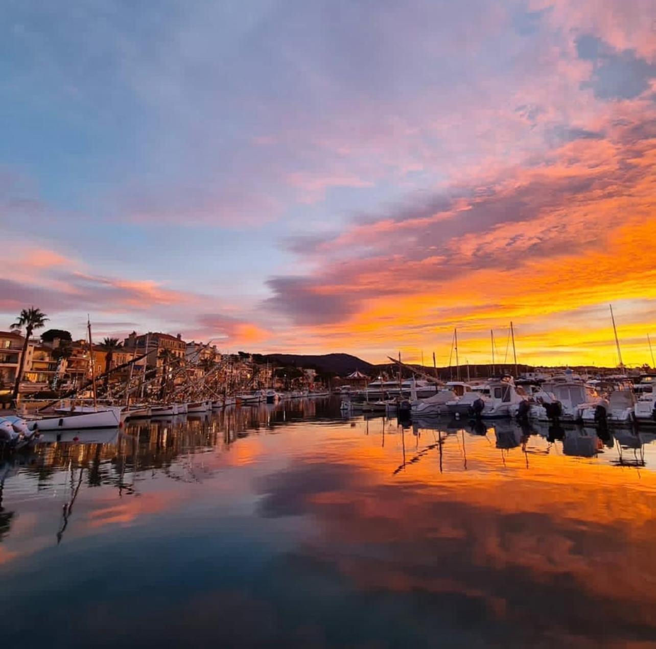Logement Vue Mer Splendide - Situe A 50 Metres Du Bord De Mer Et 2 Minutes Des Plages - Bandolina Luaran gambar