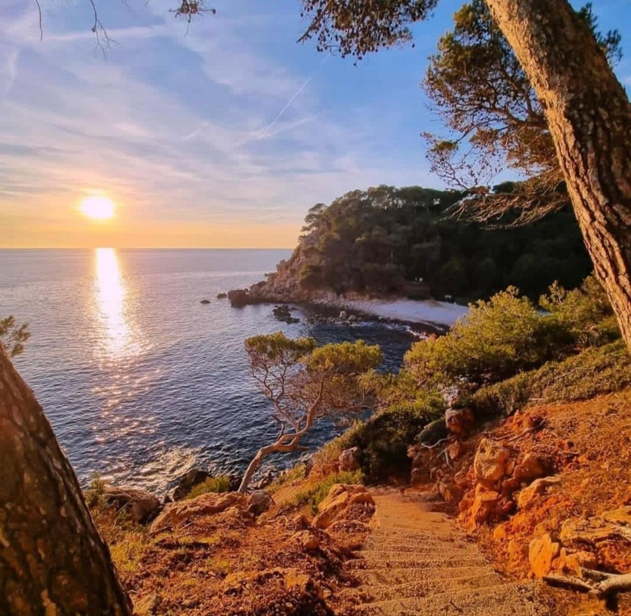 Logement Vue Mer Splendide - Situe A 50 Metres Du Bord De Mer Et 2 Minutes Des Plages - Bandolina Luaran gambar