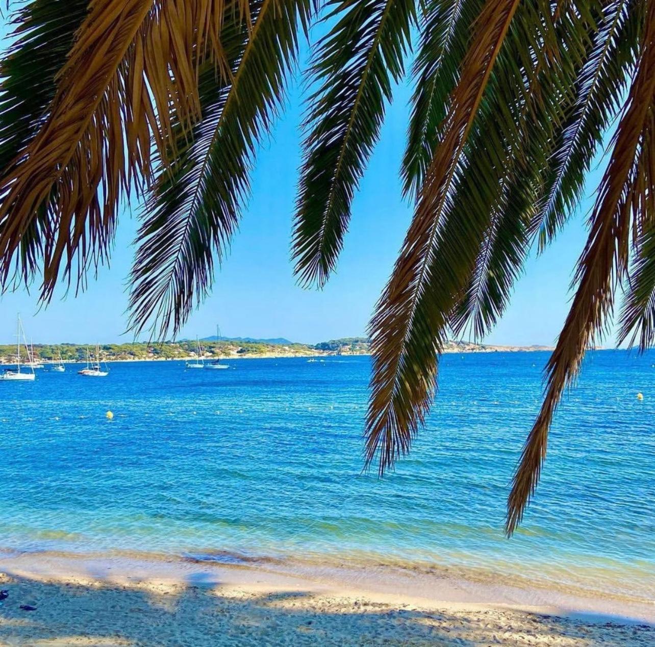 Logement Vue Mer Splendide - Situe A 50 Metres Du Bord De Mer Et 2 Minutes Des Plages - Bandolina Luaran gambar