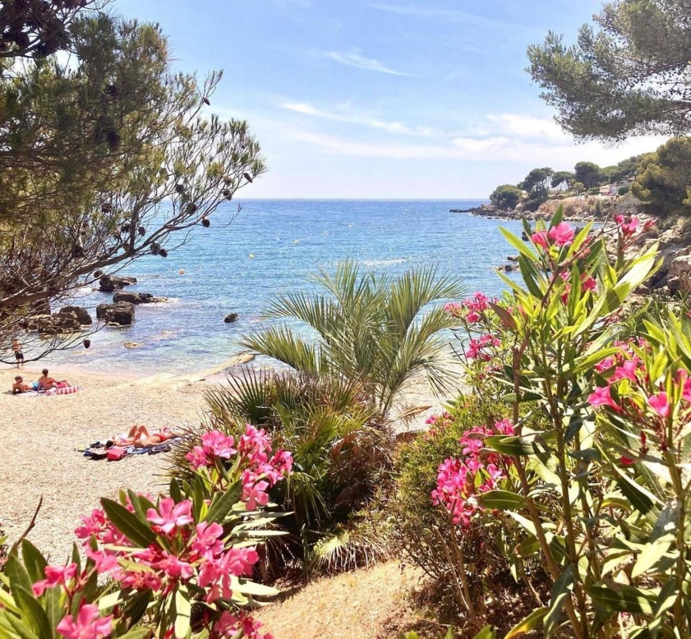 Logement Vue Mer Splendide - Situe A 50 Metres Du Bord De Mer Et 2 Minutes Des Plages - Bandolina Luaran gambar