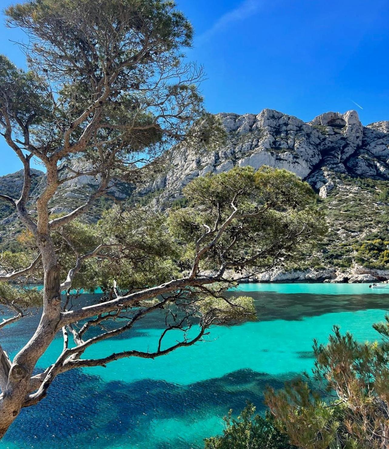 Logement Vue Mer Splendide - Situe A 50 Metres Du Bord De Mer Et 2 Minutes Des Plages - Bandolina Luaran gambar